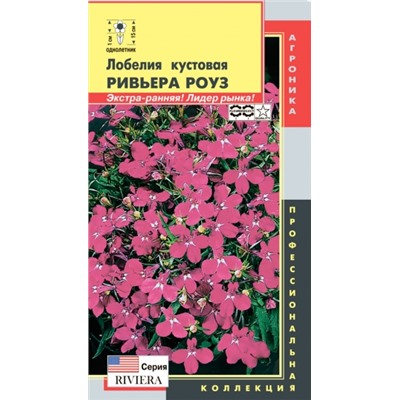 Цв.Лобелия Ривьера Роуз кустов. (Плазма) 8шт