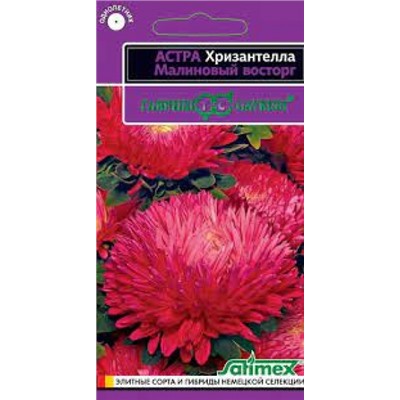 Цв.Хризантелла Малиновый восторг (Гавриш) 0,05г