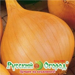 Лук Стригуновский местный (НК) 1г