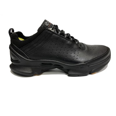 Кроссовки Ecco Biom natural