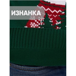 Джемпер мужской 5242-12382