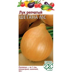 Лук Шетана МС (Гавр)