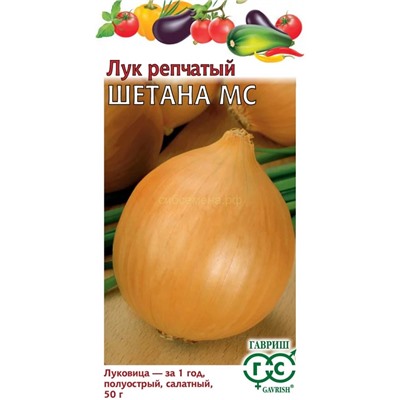 Лук Шетана МС (Гавр)