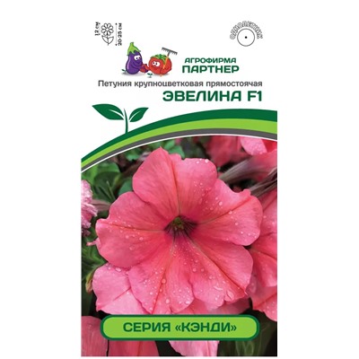 Партнер Петуния серия "Кэнди" ЭВЕЛИНА F1 /крупноцветковая прямостоячая коралловая ^(5шт в амп)