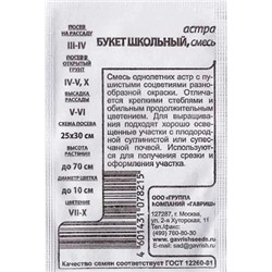 Астра Букет школьный ч/б (Код: 81492)