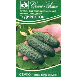 Огурец Директор F1 (С)