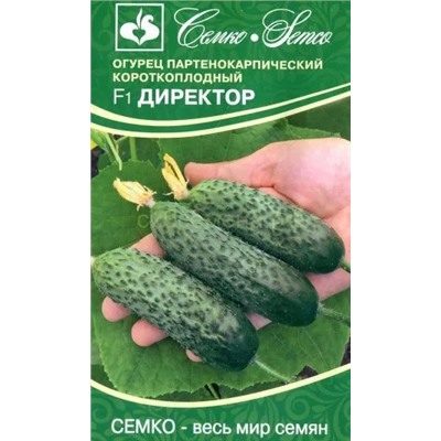 Огурец Директор F1 (С)