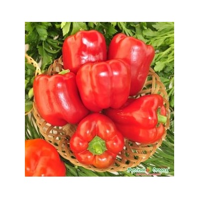 Перец Фламенко F1 (НК) 12шт
