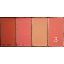 Румяна O.TWO. Contour Grooming Powder 4 цвета 24g (9110)