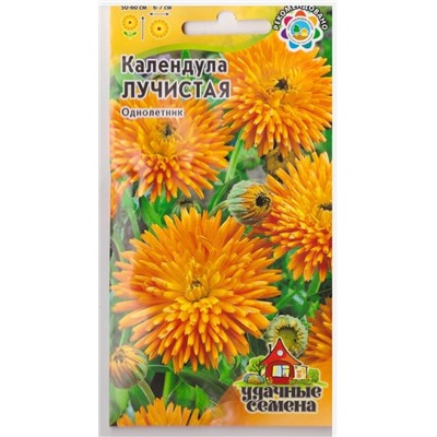 Календула Лучистая (Код: 16773)