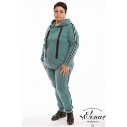 Костюм (толстовка+брюки) 32064е