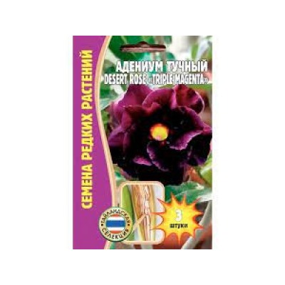 Цв.Адениум Трипле Маджента Десерт (Triple Magenta Desert) (Григорьев) 3шт