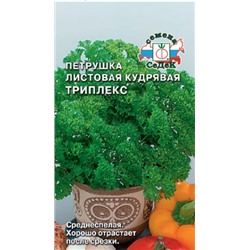 Петрушка Кудрявая Триплекс (Седек) 2г