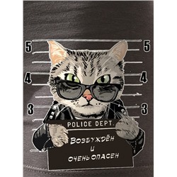 Трусы Опасный кот