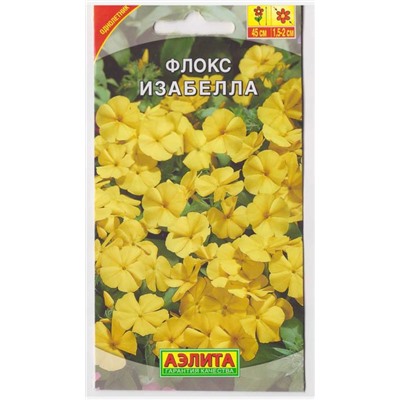 Флокс Изабелла (Код: 9618)