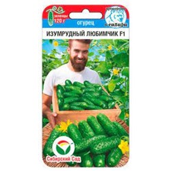 Огурец Изумрудный любимчик F1 (Сиб.сад) 7шт