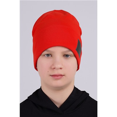 Шапка CLEVER #1042658