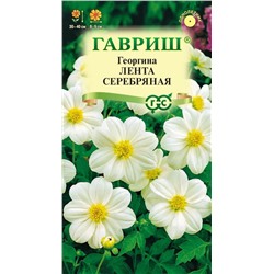 Георгина Лента серебряная (Гавр)