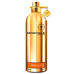 MONTALE AOUD MELODY lady  20ml edp