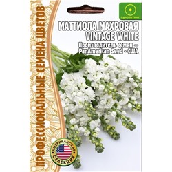 Маттиола Винтаж вайт - Vintage White (Редкие)