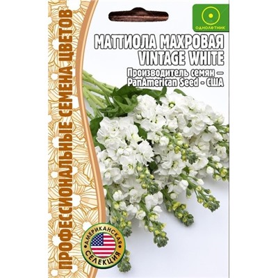 Маттиола Винтаж вайт - Vintage White (Редкие)