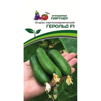 Огурец Герольд F1 (Партнер)