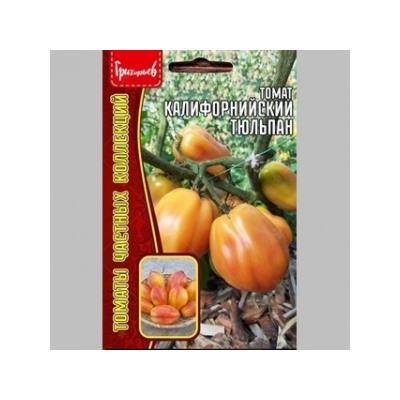 Томат Калифорнийский Тюльпан (Григорьев) 5шт