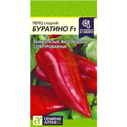 Перец Буратино (Алтай)