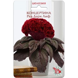 Цв.Целозия Концертина Ред Дарк Лиф (Био) 8шт