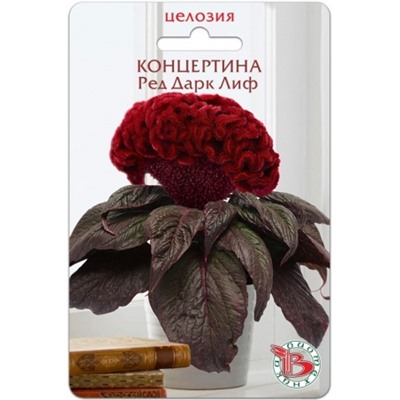 Цв.Целозия Концертина Ред Дарк Лиф (Био) 8шт