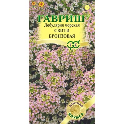 Лобулярия Свити бронзовая (Гавр)