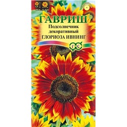 Подсолнечник Глориоза Ивнинг декоративный (Гавр)