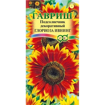 Подсолнечник Глориоза Ивнинг декоративный (Гавр)