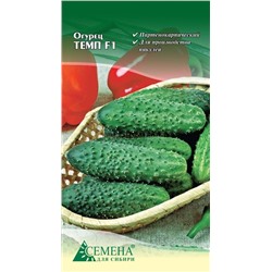 Огурец Темп F1, 5сем (цв.)
