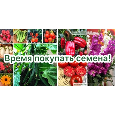 СП Дачный сезон