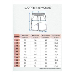 Шорты LET'S GO #984546