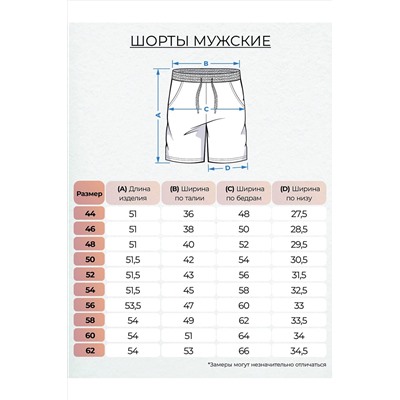 Шорты LET'S GO #984548