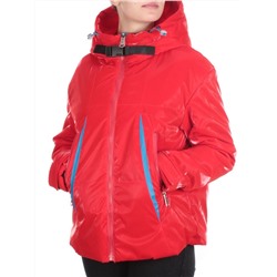 D004 RED Куртка демисезонная женская (100 гр. синтепон) размер 2XL(50) - 56 российский