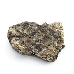 Минерал лампрофиллит 56*38*20мм, 48г (M)