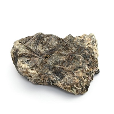 Минерал лампрофиллит 56*38*20мм, 48г (M)