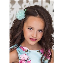 Цинния, зажим