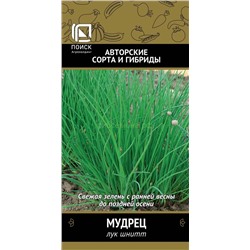 Лук  шнитт Мудрец (П)