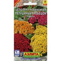 Целозия гребенчатая Петушиный гребешок (Аэлита)