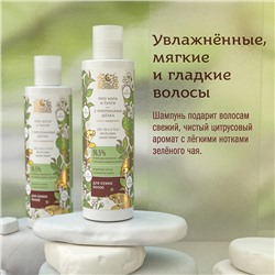 Ayurvedic Shampoo GOTU KOLA & TULSI, Indibird (Аюрведический шампунь ГОТУ КОЛА И ТУЛСИ (туласи) С ПРОТЕИНАМИ ШЕЛКА, для сухих волос, Индибёрд), 250 мл.