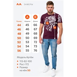 Мужская футболка Happyfox