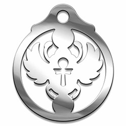 Амулет Серия Символы №28 Скарабей медицинская сталь SH 903428