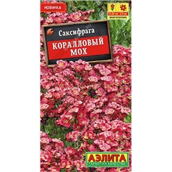 Саксифрага Коралловый мох (Аэлита)