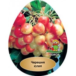 Черешня Юлия (Поиск) УКС