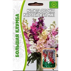 Маттиола  Махровый гигант срезочная микс (Редкие)