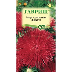 Астра Факел (Гавр)